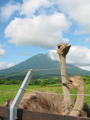 ニセコ　Niseko, Hokkaido (August 2009)_c0033158_20465789.jpg