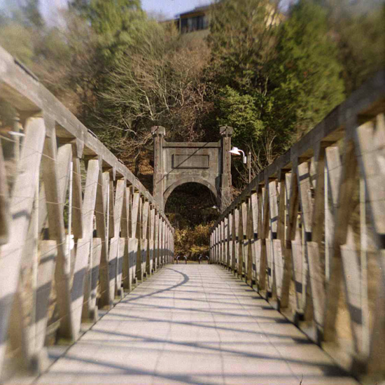 c0054876_17155645.jpg
