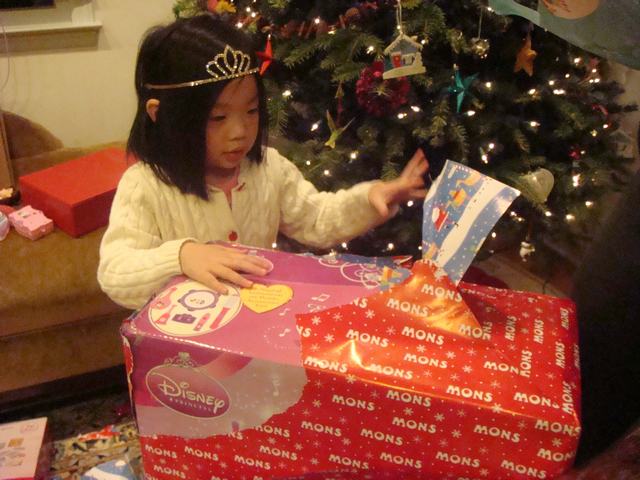 クリスマスのプレゼント欲しいものすべて入手!_d0100880_24565.jpg