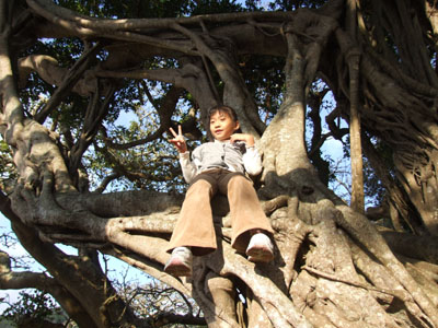 2時間で回りましょう!_e0028387_23261976.jpg
