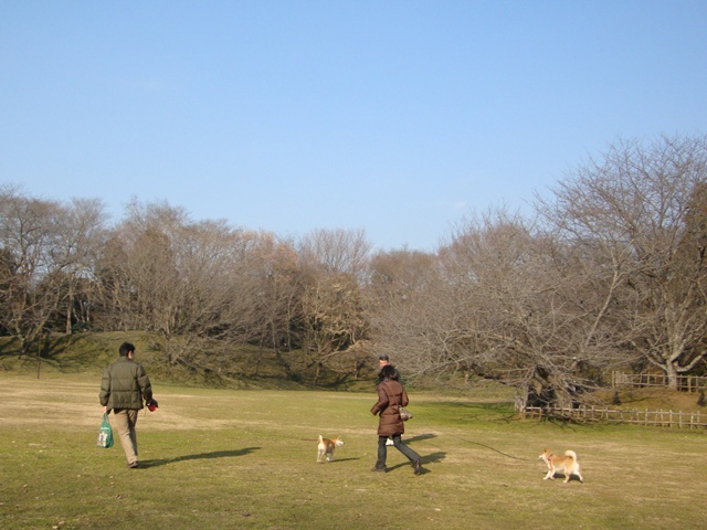 りんごちゃん、初めまして!_a0126590_1255357.jpg