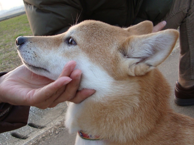 りんごちゃん、初めまして!_a0126590_1453663.jpg