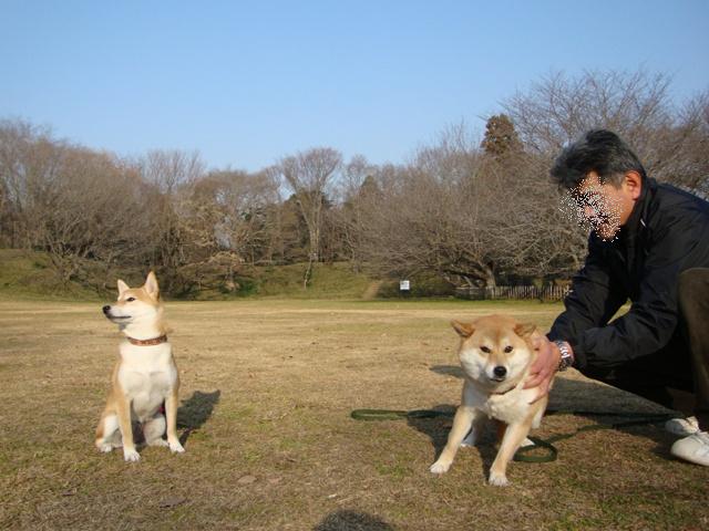 りんごちゃん、初めまして!_a0126590_351433.jpg
