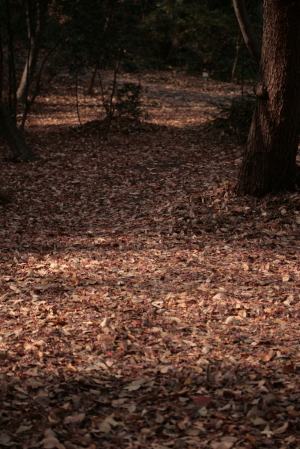 d0133693_20503510.jpg