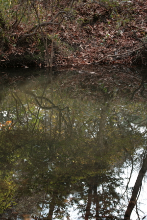 d0133693_20505029.jpg