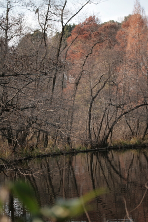 d0133693_20512624.jpg