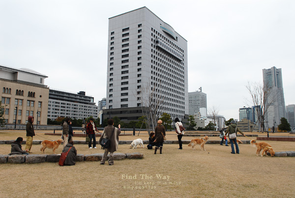 【犬的散歩日和】横浜・象の鼻パーク　２／２ 〜 そしてこんにちは_f0054594_4303464.jpg