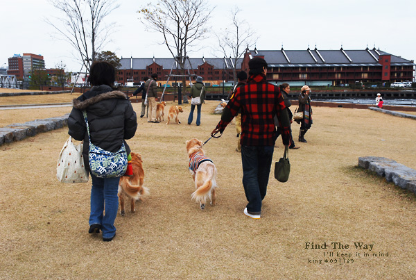 【犬的散歩日和】横浜・象の鼻パーク 2/2 〜 そしてこんにちは_f0054594_4352118.jpg
