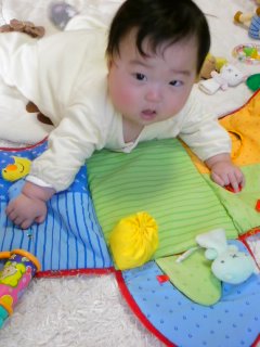 小豆をコトコト・・・お正月準備。_f0177295_19453097.jpg