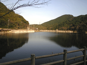 b0174996_20294971.gif