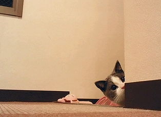 c0181601_11351281.jpg