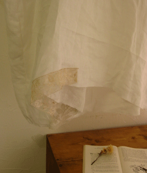c0128402_1345259.gif