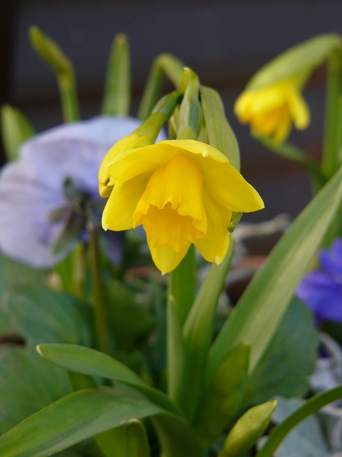 a0123003_16553966.jpg