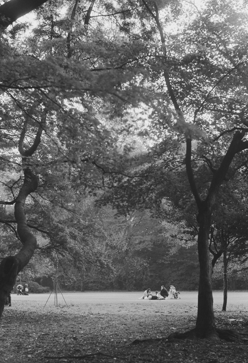 c0120903_1341991.jpg