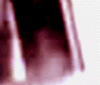 e0103408_1224303.gif