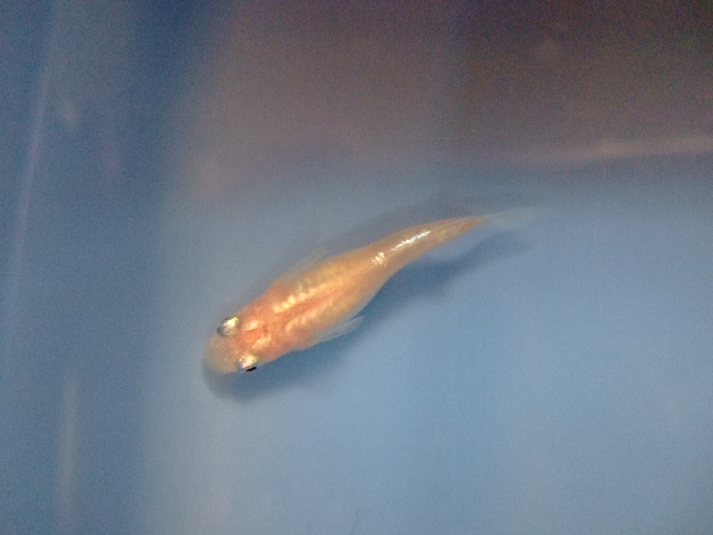 f0152308_199539.jpg