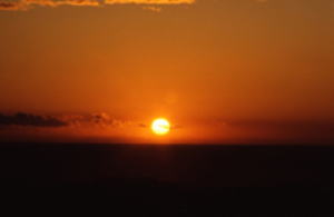 d0070316_1753791.jpg