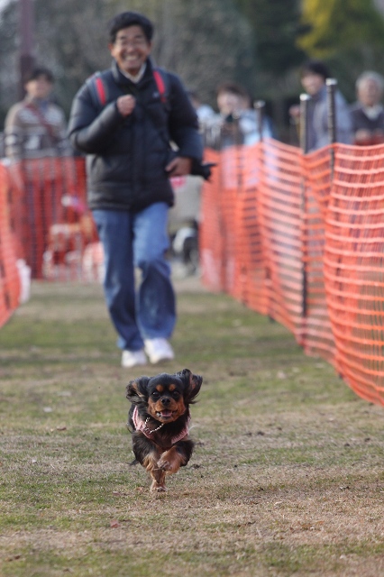 DOG TIME RACE　参戦！_a0064918_2331631.jpg