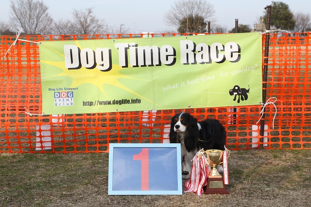 DOG TIME RACE　参戦！_a0064918_2383294.jpg