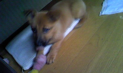c0150520_04442.jpg