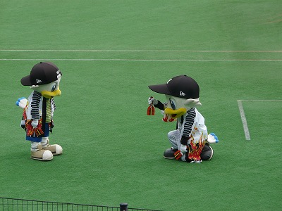 目立ちすぎるキャディー_b0166128_11383595.jpg