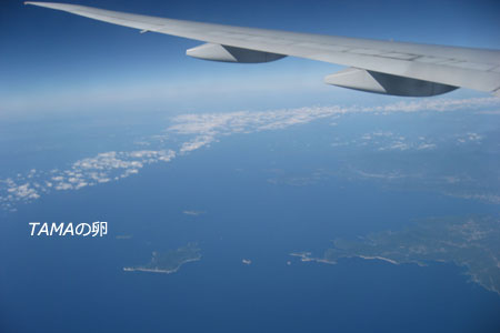 c0024729_204848100.jpg