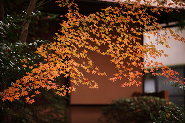 京都の神社です。_b0160331_17454264.jpg