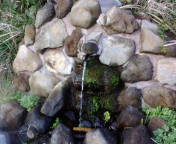f0195131_23535227.jpg