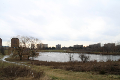 025 York University ~かろうじて~_c0211532_937245.jpg