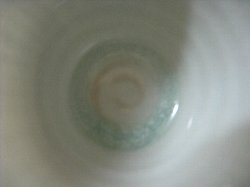 c0204333_21131644.jpg