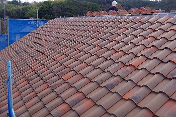 c0047339_19223772.jpg
