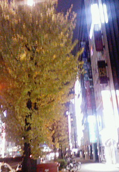b0130341_17281651.jpg