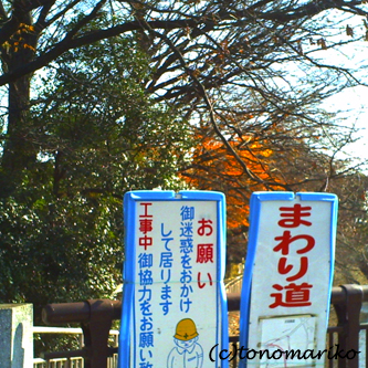 川沿いのおさんぽ_c0024345_10221885.jpg