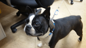 c0200849_23361137.gif