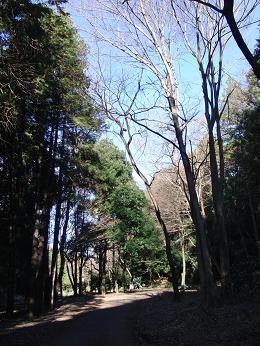 b0098660_07512.jpg