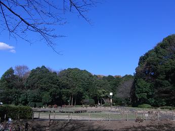 b0098660_08129.jpg