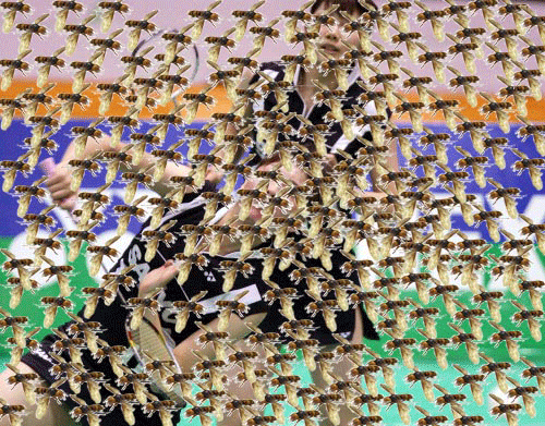 e0010166_224154100.gif
