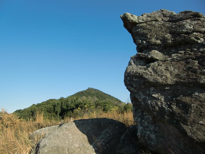 f0016066_6461718.jpg