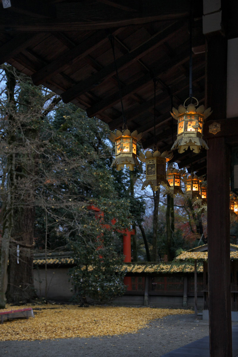 京都　糺の森 河合神社　　2 _f0021869_8304654.jpg