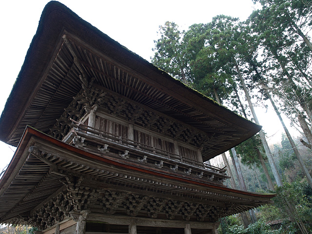 b0006870_2013125.jpg