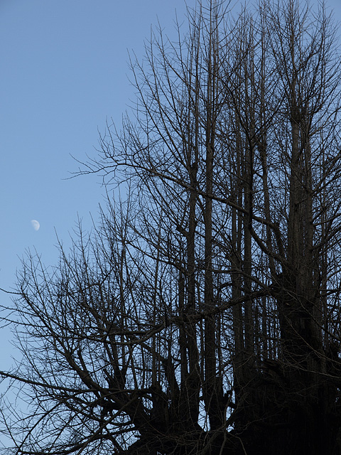 b0006870_20144472.jpg