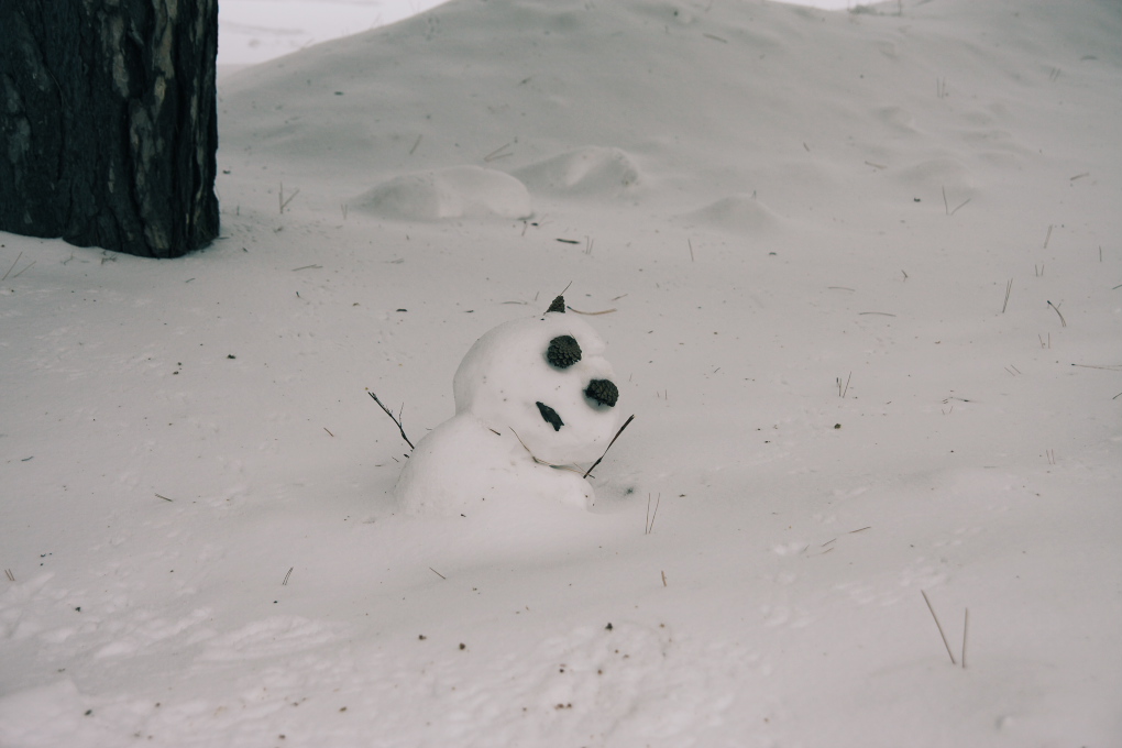 エルムの森　雪の北海道大学_b0076972_1110244.jpg