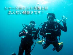サメが消えた、シャークポイント_f0144385_141618.jpg