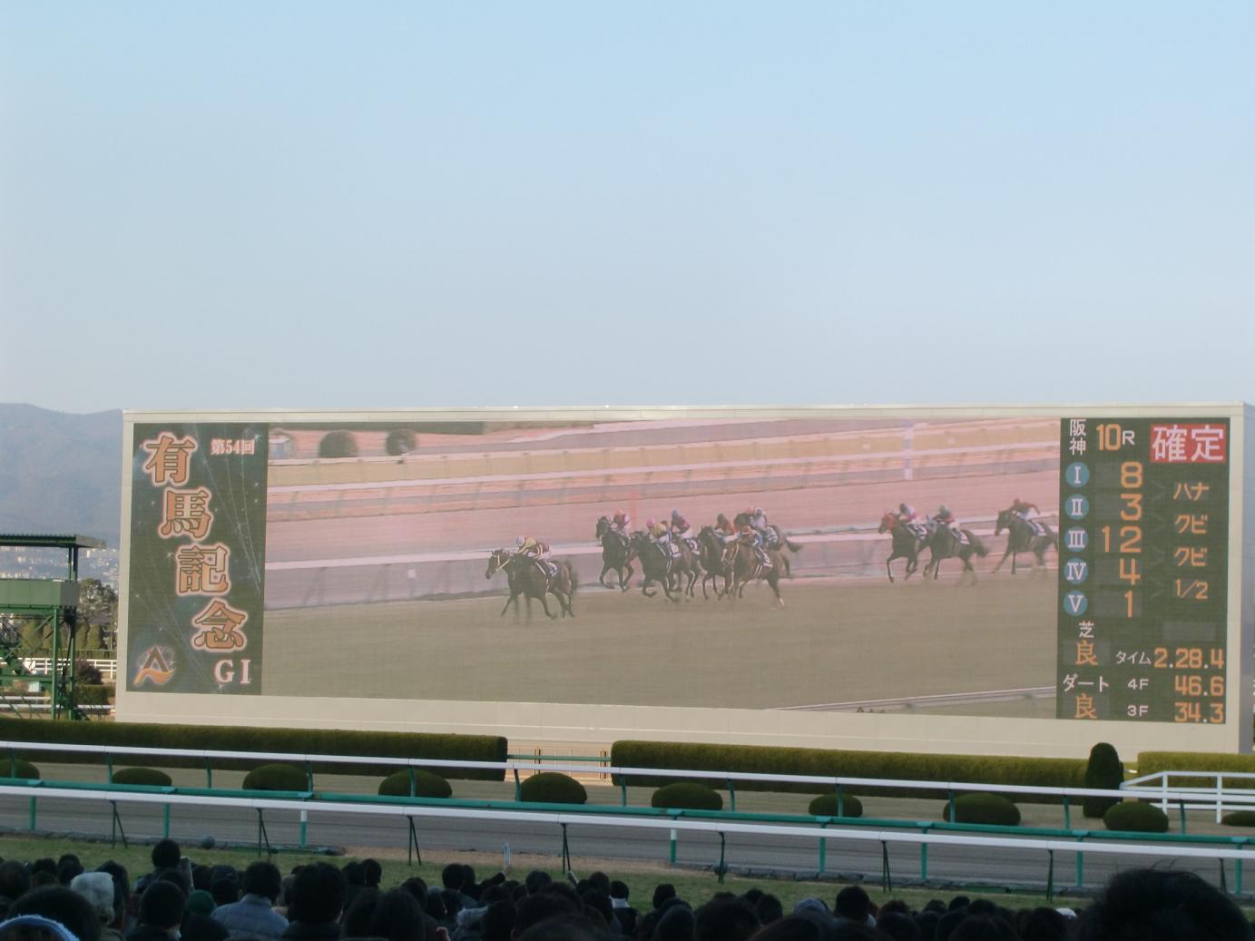 競馬レッスン＠阪神競馬場　～2009　有馬記念～_a0128287_13444665.jpg