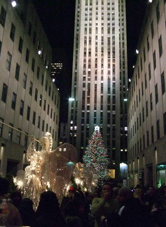 e0000295_19355619.jpg