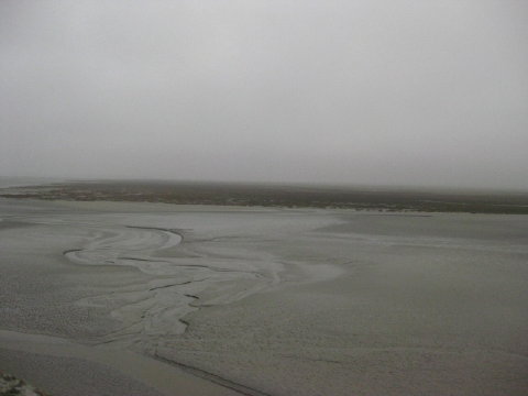 c0180096_1464837.jpg