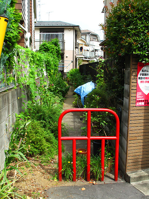 杉並区荻窪・高野ヶ谷戸の善福寺川支流_c0163001_2320480.jpg