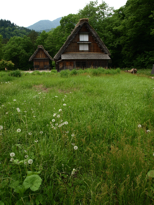 c0188405_180729.jpg