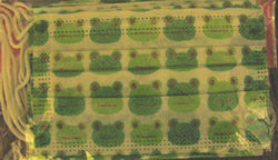 f0038336_8265849.jpg