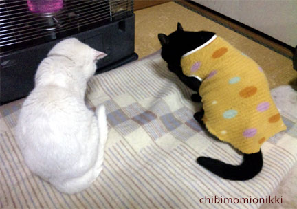 2009年もあと少しですね〜。_e0044139_7224145.jpg